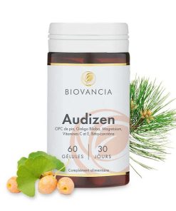 Audizen