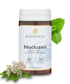 Noctuzen