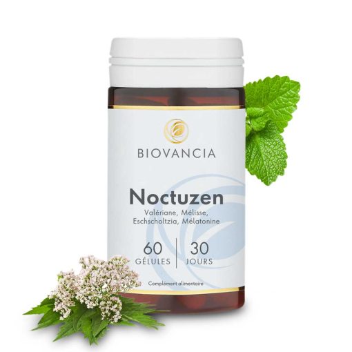 Noctuzen