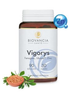 Vigorys