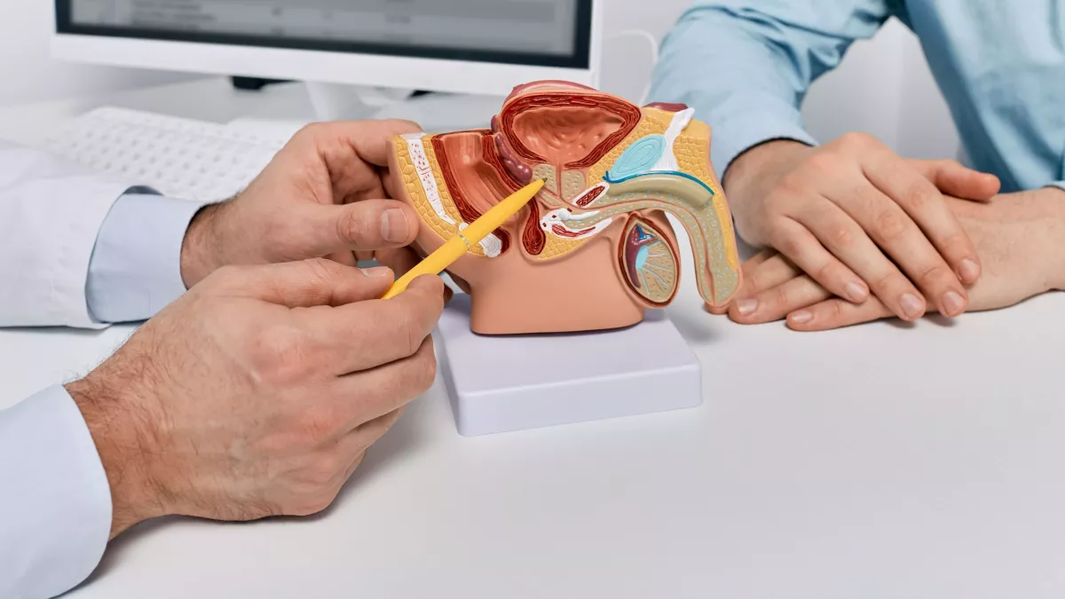 quel est le meilleur medicament pour la prostate en pharmacie