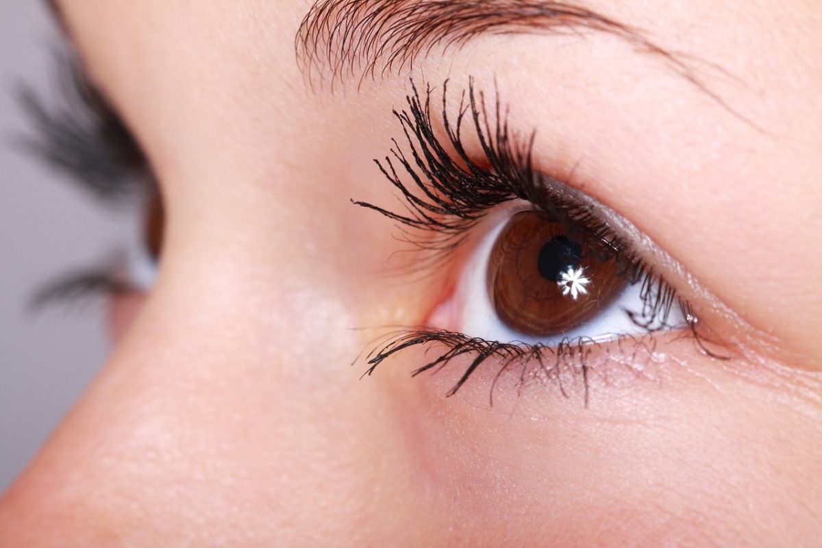 découvrez notre sélection de suppléments pour les yeux, formulés pour soutenir votre santé oculaire. profitez d'ingrédients naturels et de vitamines essentielles pour maintenir une vision claire et améliorer votre bien-être visuel.