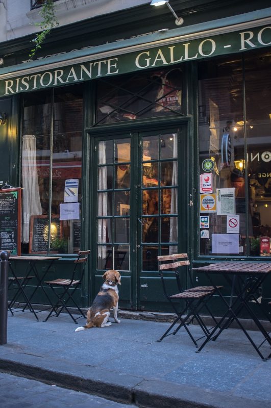 découvrez notre sélection des meilleurs restaurants pour satisfaire toutes vos envies culinaires. que vous recherchiez une cuisine traditionnelle, moderne ou internationale, trouvez l'endroit parfait pour déguster des plats savoureux dans une ambiance conviviale.