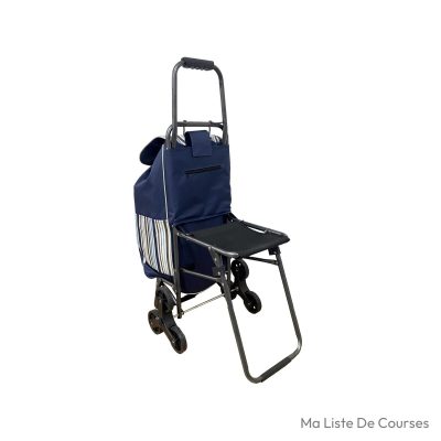 Caddie courses 3 roues 30 L 32 kg avec chaise pliante et sac amovible